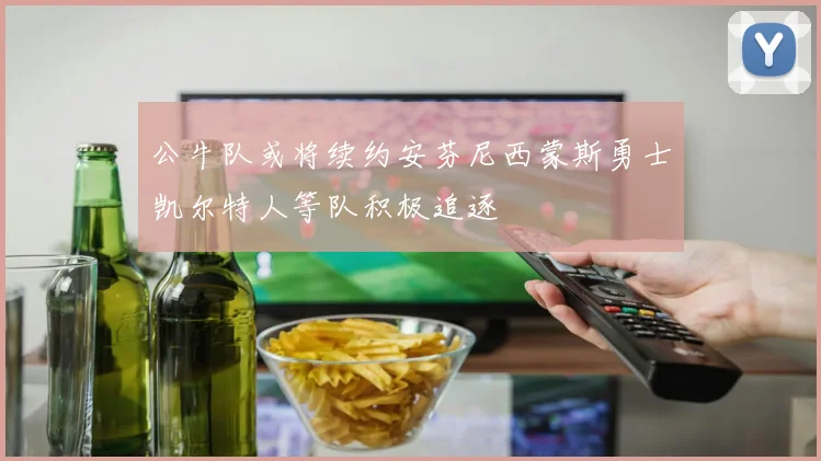 公牛队或将续约安芬尼西蒙斯勇士凯尔特人等队积极追逐
