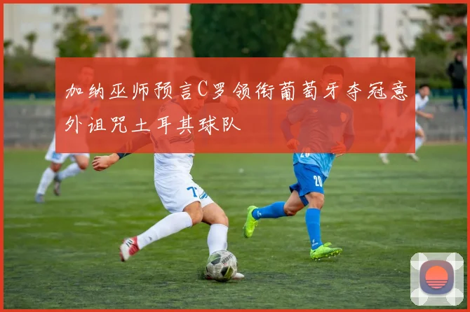 加纳巫师预言C罗领衔葡萄牙夺冠意外诅咒土耳其球队